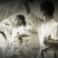 Karate Ages 8-12